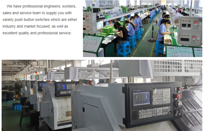 Yueqing Yueshun Electric Co., Ltd. फैक्टरी यात्रा